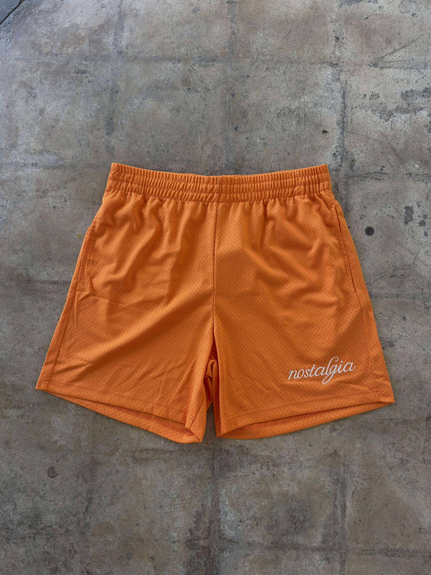 Nostalgia Basic Logo Mesh Shorts